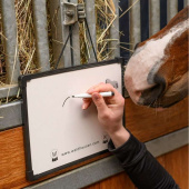 Stalltavle Magnetic MemoBoard Hvit Stalltavle Magnetic MemoBoard Hvit