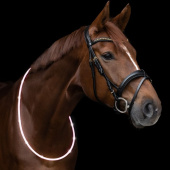 Halsring LED Light Hvit Halsring LED Light Hvit