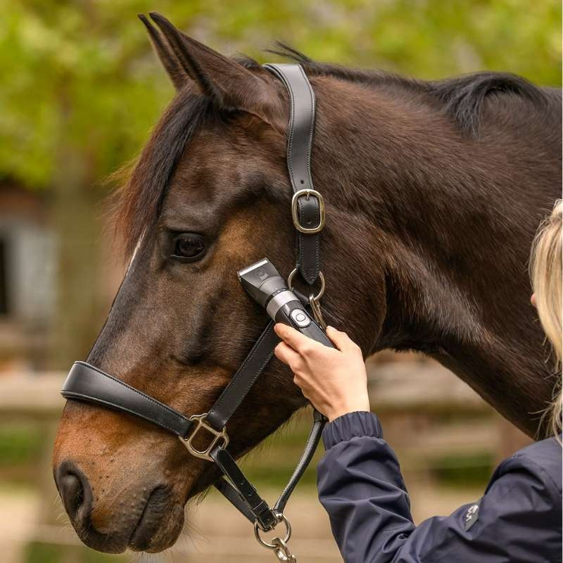 Trådløs klippemaskin EquiClip
