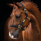 Grime HS Equestrian Life Svart Grime HS Equestrian Life Svart