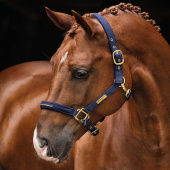 Grime HS Equestrian Life Marineblå Grime HS Equestrian Life Marineblå