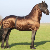 Eksemdekken Big Neck Brun Eksemdekken Big Neck Brun