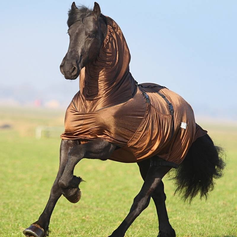 Eksemdekken Big Neck Brun