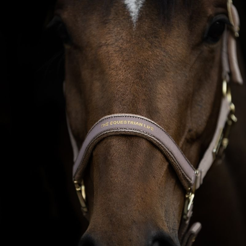 Grime HS Equestrian Life Beige