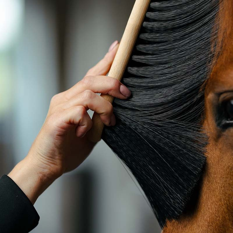 Bananbørste PP X-Long Brun