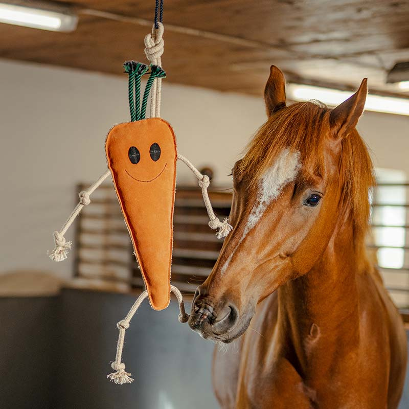 Hesteleke HS Gulrot semsket skinn Orange