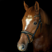Hodelag HS Clincher Aachen Svart Hodelag HS Clincher Aachen Svart