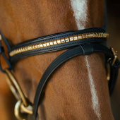 Hodelag HS Clincher Aachen Svart Hodelag HS Clincher Aachen Svart