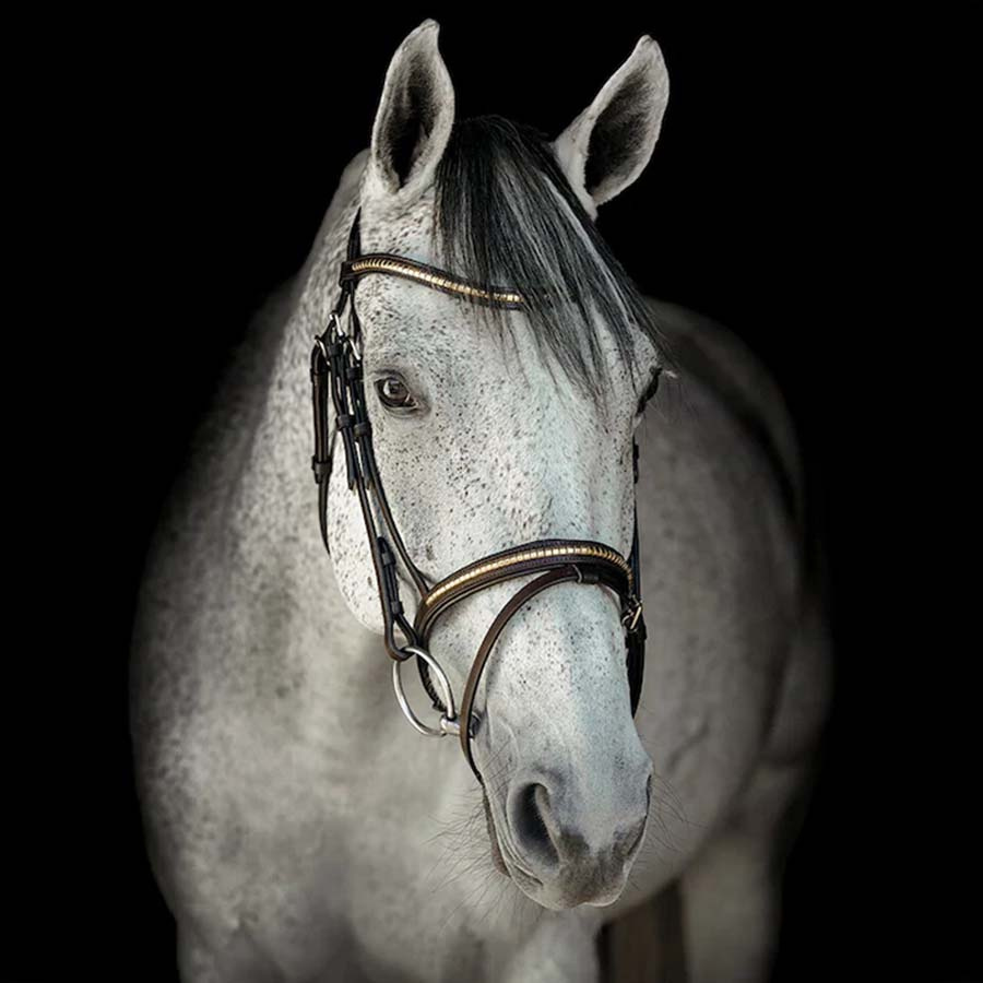 Hodelag HS Clincher Aachen Brun