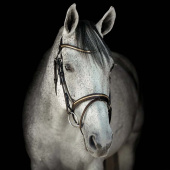 Hodelag HS Clincher Aachen Brun Hodelag HS Clincher Aachen Brun