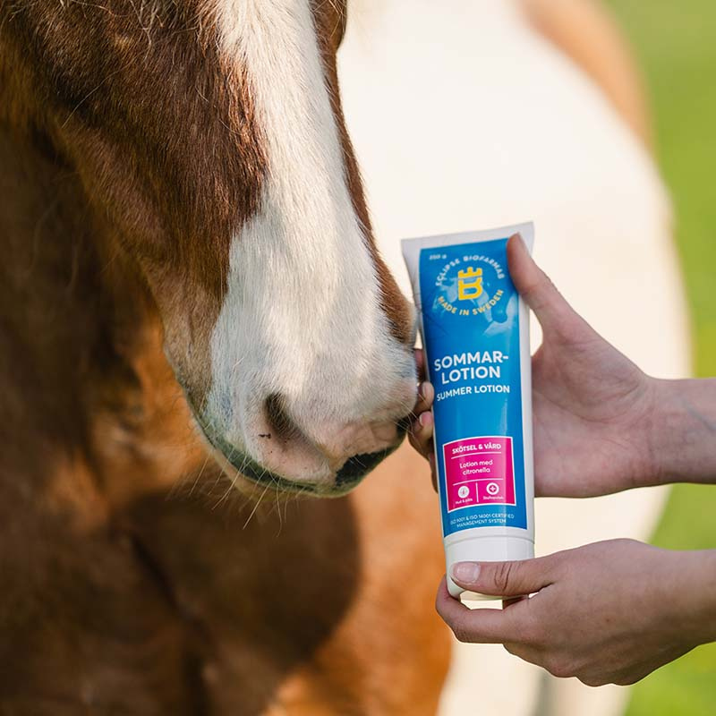 Sommerlotion Citronella 250ml
