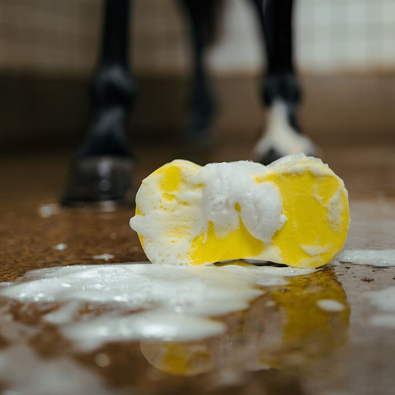 Vaskesvamp HS Infinity Gul