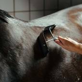 Svetteskrape Brun Svetteskrape Brun