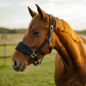 Grime HS Emma Fleece Svart Grime HS Emma Fleece Svart