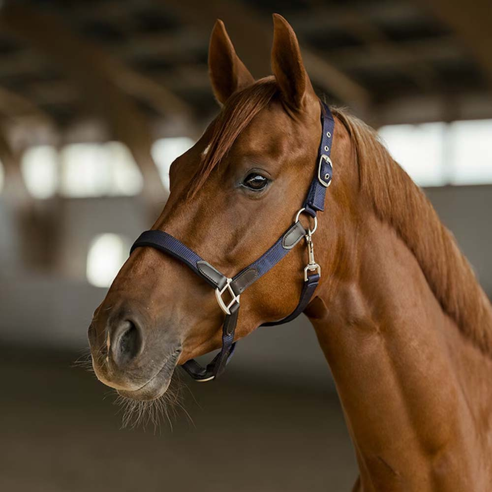 Grime HS Edit Marineblå