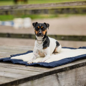Hundeseng HS Picnic Fold 88x66cm Marineblå Hundeseng HS Picnic Fold 88x66cm Marineblå