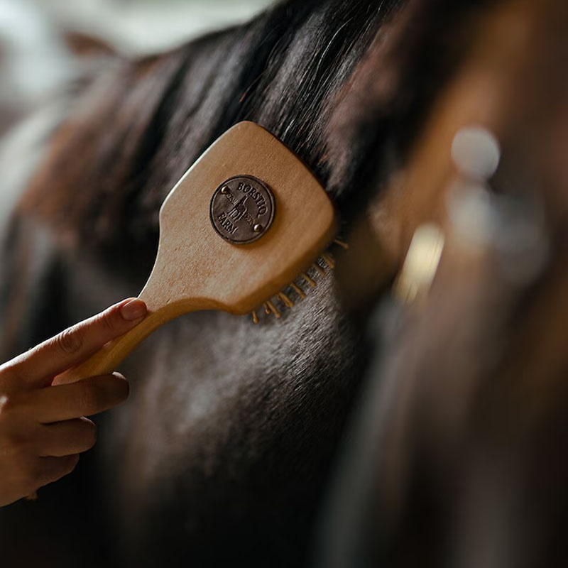 Man- & Halebørste Brun