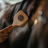 Man- & Halebørste Brun Man- & Halebørste Brun