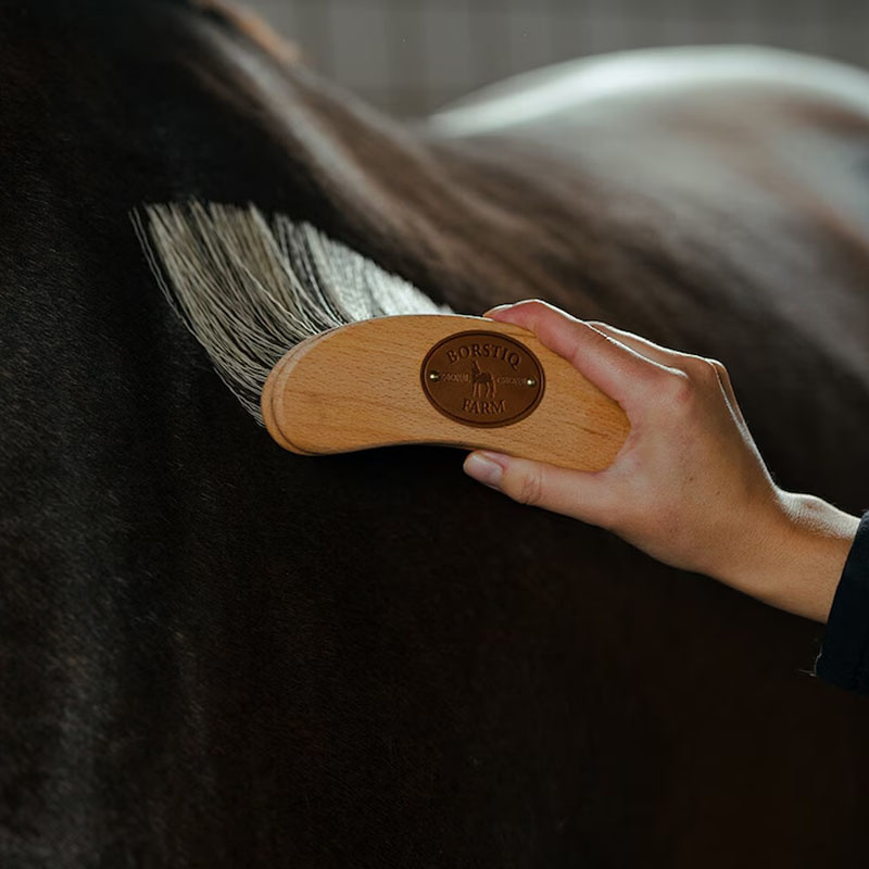 Bananbørste Poly X-Long Brun