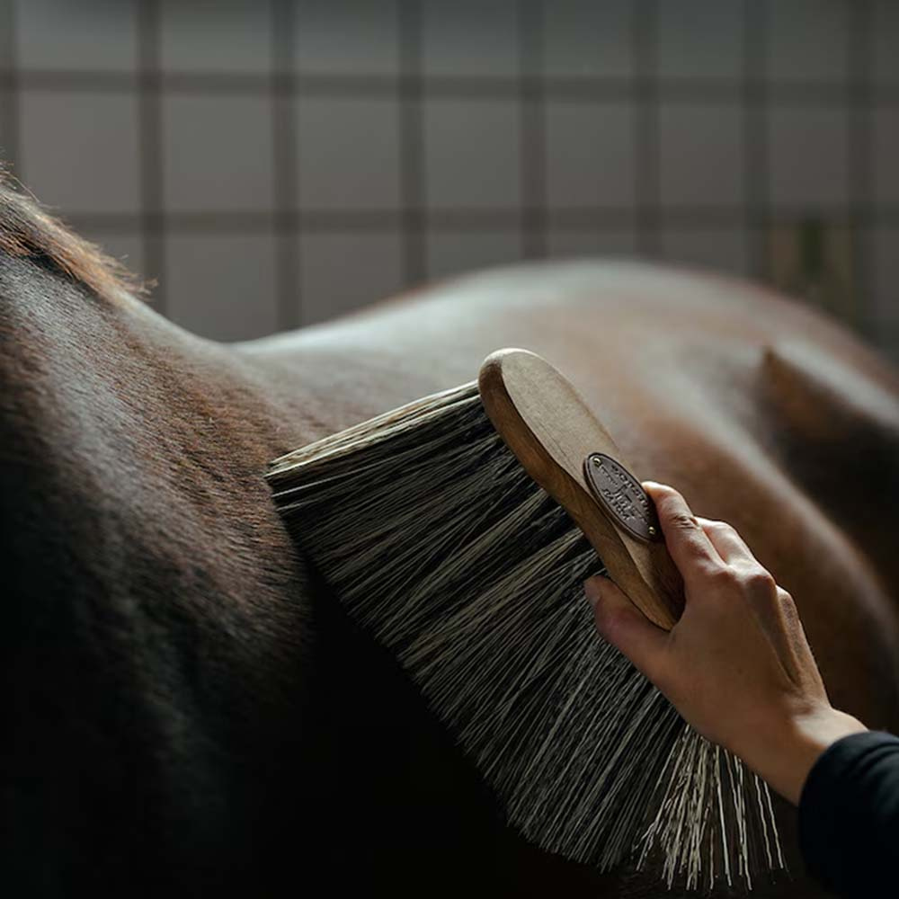 Midjebørste Poly X-Long Brun