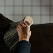 Midjebørste Poly X-Long Brun Midjebørste Poly X-Long Brun