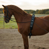 Tømmekjøringsgjord med bue HS Svart Tømmekjøringsgjord med bue HS Svart
