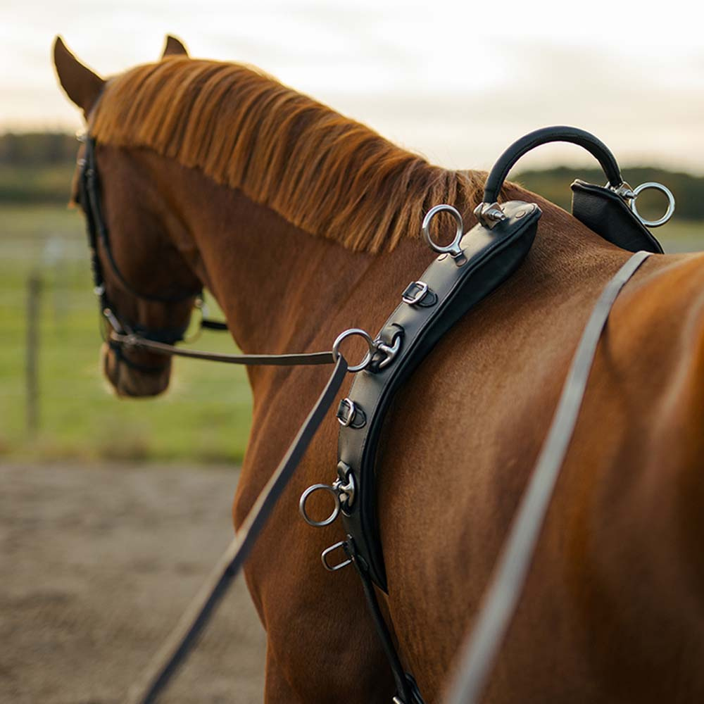 Tømmekjøringsgjord med bue HS Svart