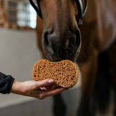 Svamp Infinity Brun Svamp Infinity Brun