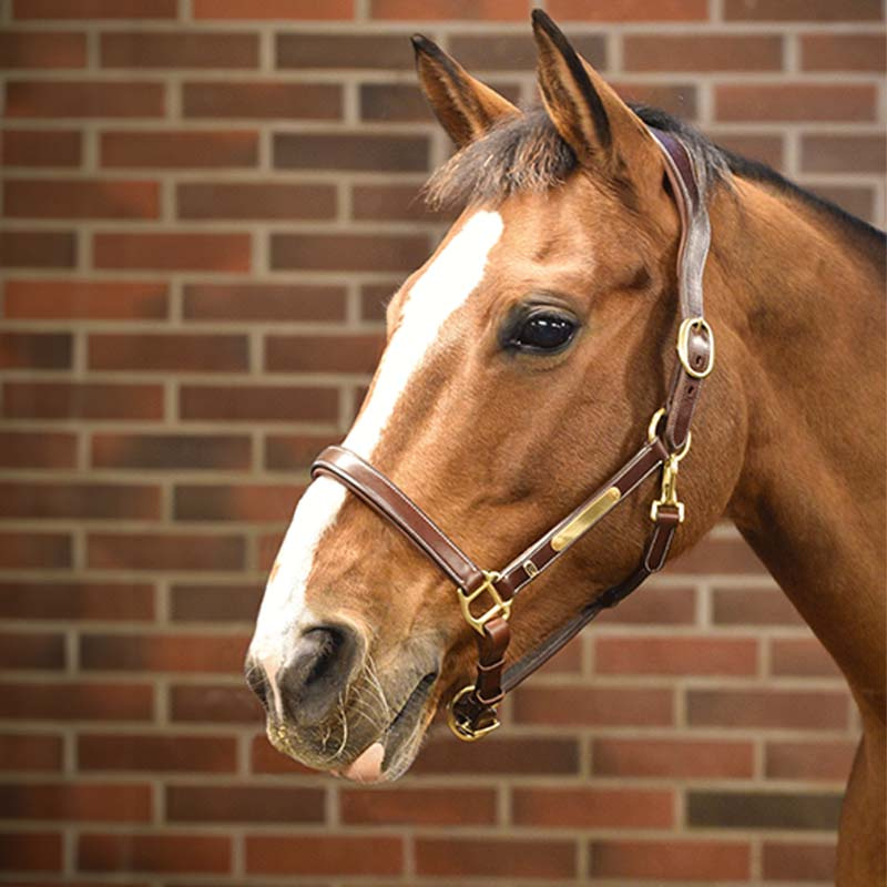 Lærgrime E-Logo Brun/Messing