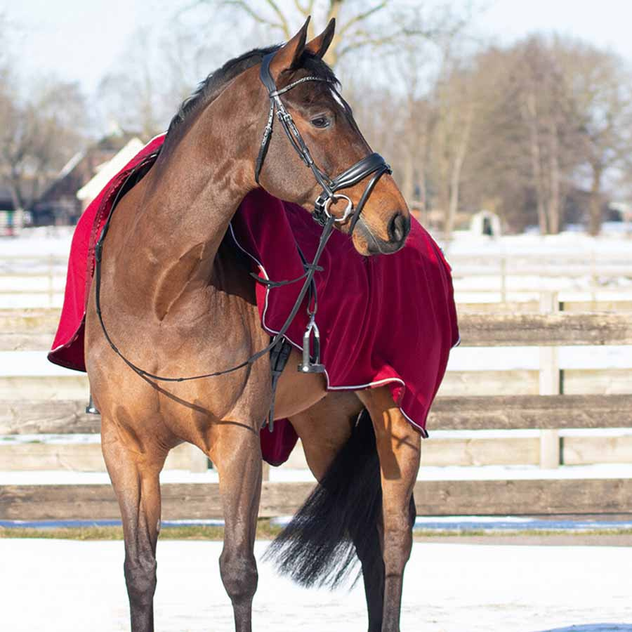 Skrittedekken Ornament Fleece Vinrød/Sølv