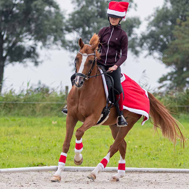 Lendedekken Christmas Rød/Hvit