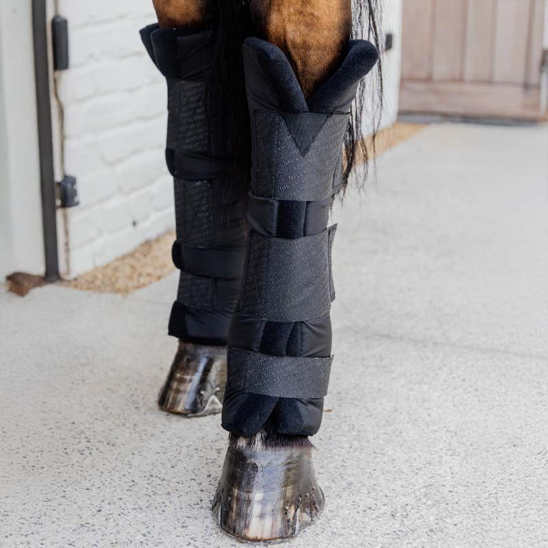 Stallbandasjer PROtect Classic Hind Svart