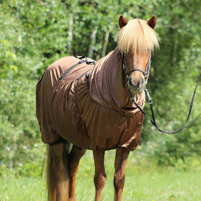 Eksemdekken Icelandic UV-Protection Brun