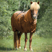 Eksemdekken Icelandic UV-Protection Bronse Eksemdekken Icelandic UV-Protection Bronse