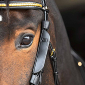 Skylapper/Blinkers til sidestykker 2-pk Svart Skylapper/Blinkers til sidestykker 2-pk Svart