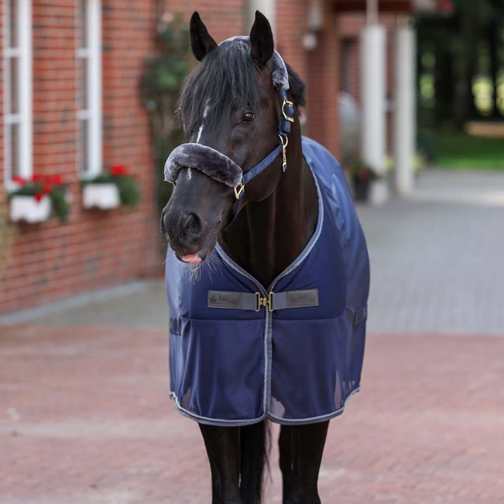 Svettedekken Show-Line Competition Cooler Marineblå