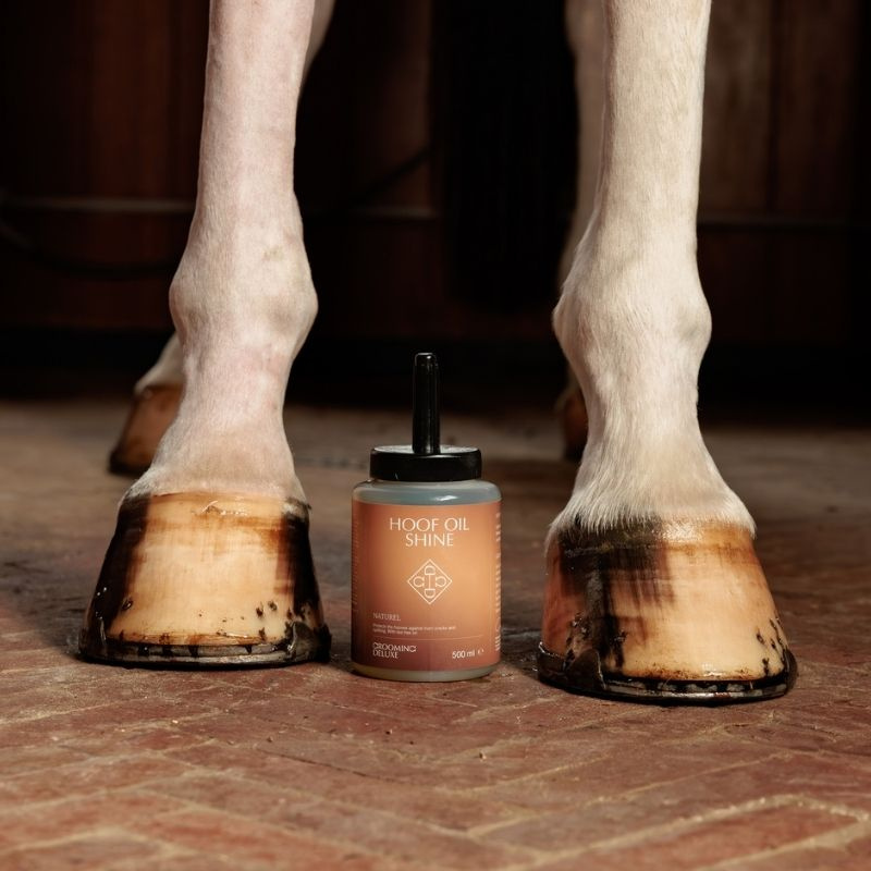 Hovolje Shine Natural 500ml