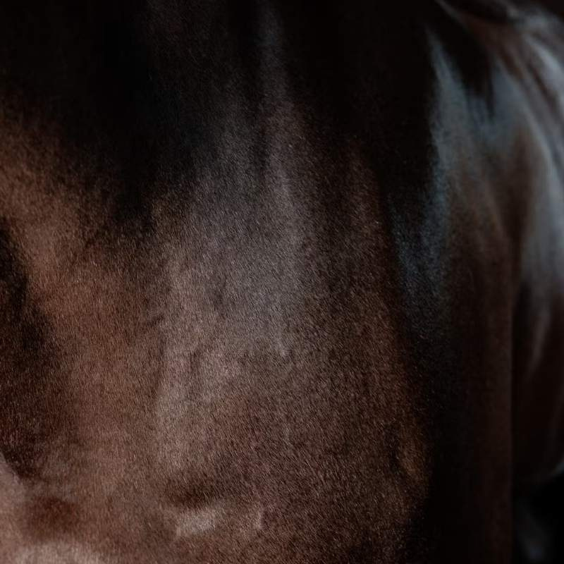 Pelsglans Super Shine Gloss Gel Almond 250ml