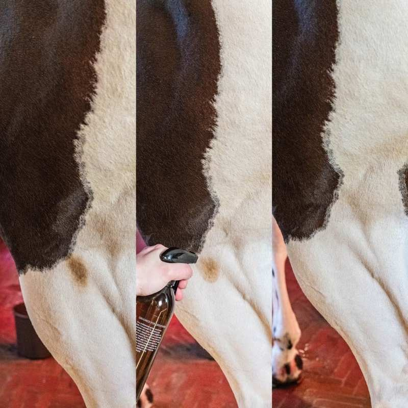 Tørrsjampo Green Spot & Dust Remover Almond 500ml