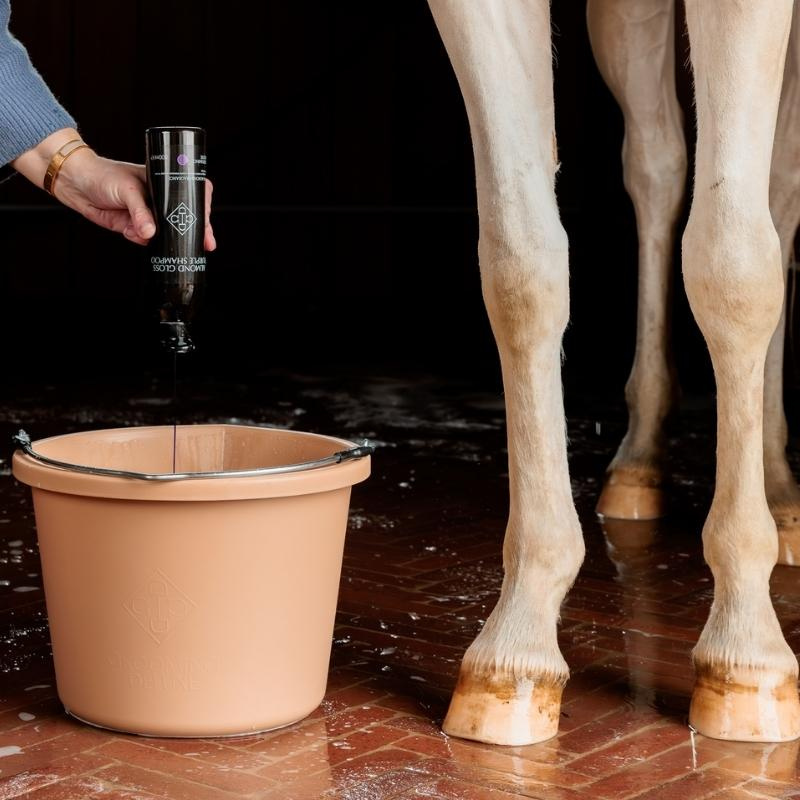 Skimmelshampo Almond Gloss Purple Shampoo 500ml