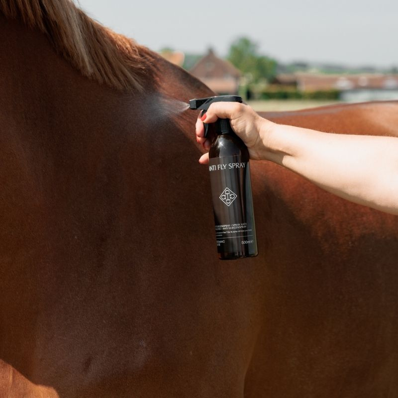 Fluespray Anti Fly Spray 500ml