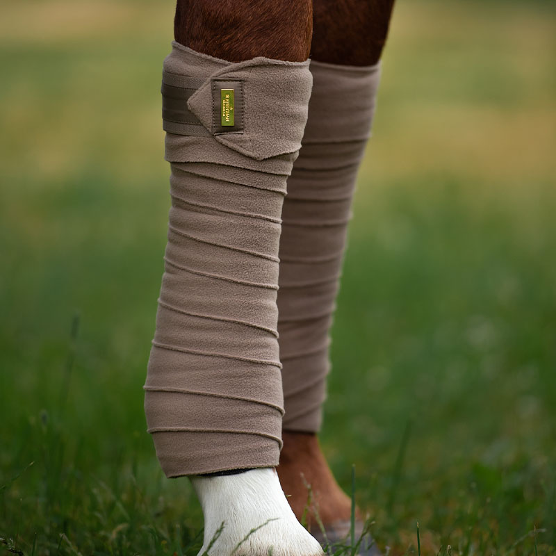 Bandasjer ES Champagne