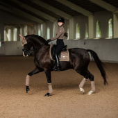 Bandasjer ES Champagne Bandasjer ES Champagne