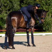 Bandasjer ES Midnight Blue Bandasjer ES Midnight Blue