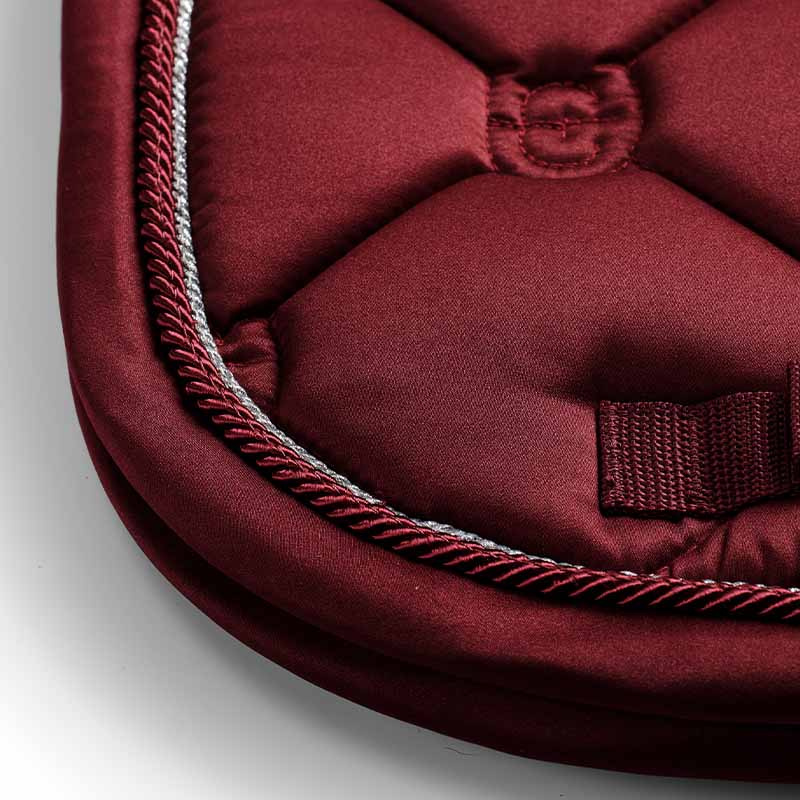 Dressursjabrak ES Bordeaux