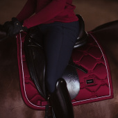 Dressursjabrak ES Bordeaux Dressursjabrak ES Bordeaux