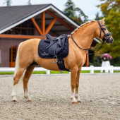 Dressursjabrak ES Line Black Dressursjabrak ES Line Black