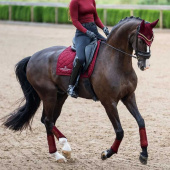 Dressursjabrak ES Line Bordeaux Dressursjabrak ES Line Bordeaux