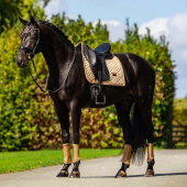 Dressursjabrak ES Modern Midsummer Glow Dressursjabrak ES Modern Midsummer Glow