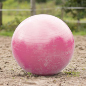 Hestefotball Rosa Hestefotball Rosa